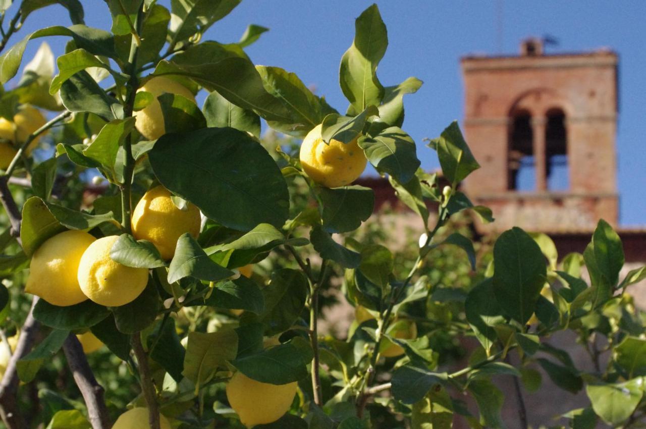 Villa Fattoria Monastero Sant'Anna In Camprena Pienza Exterior foto