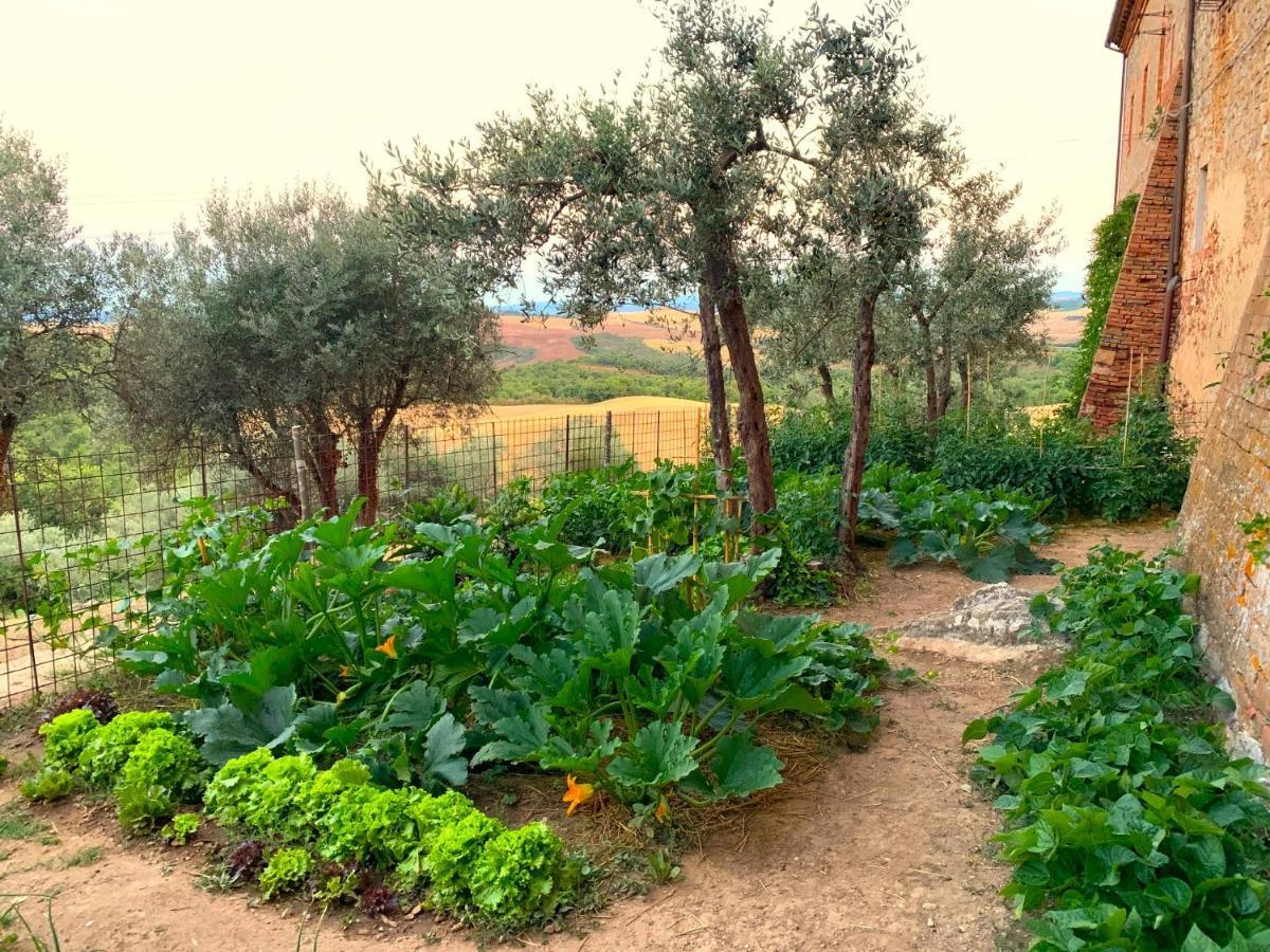 Villa Fattoria Monastero Sant'Anna In Camprena Pienza Exterior foto